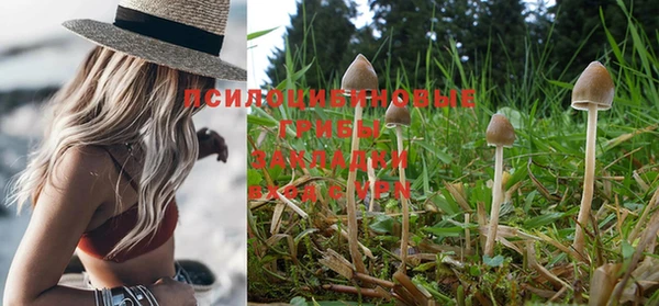 герыч Вяземский