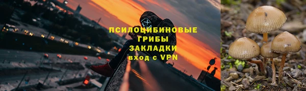 прущие крисы Вязники