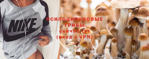 круглые Вязьма