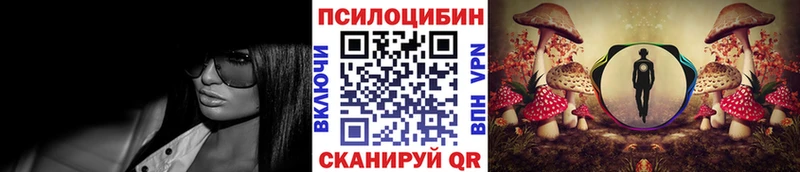 Псилоцибиновые грибы Psilocybine cubensis  Арзамас 